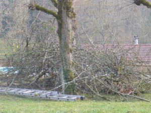 Le tas de branches